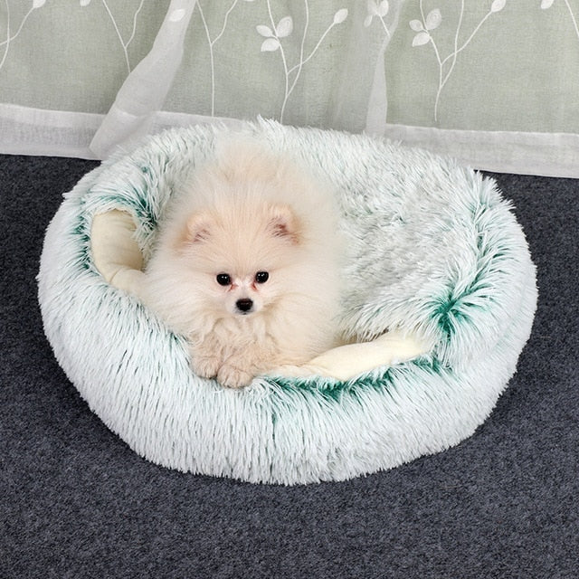 2-in-1 pet bed with raised rim for cats and small dogs