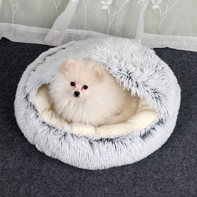 2-in-1 pet bed with raised rim for cats and small dogs