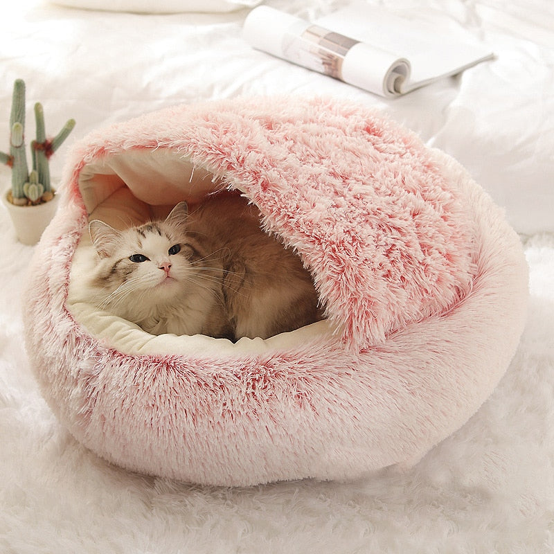 cozy 2-in-1 pet bed with raised rim for cats and small dogs