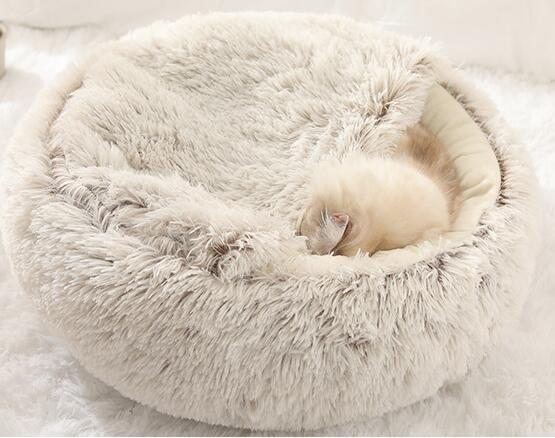 2-in-1 pet bed with raised rim for cats and small dogs