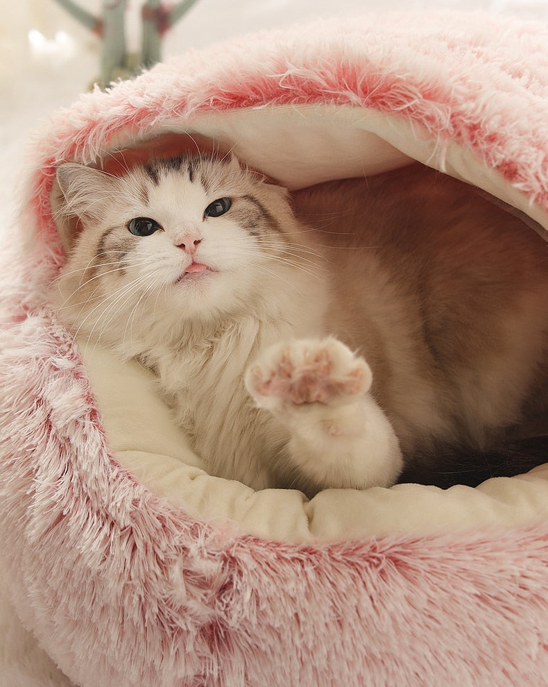 2-in-1 pet bed with raised rim for cats and small dogs