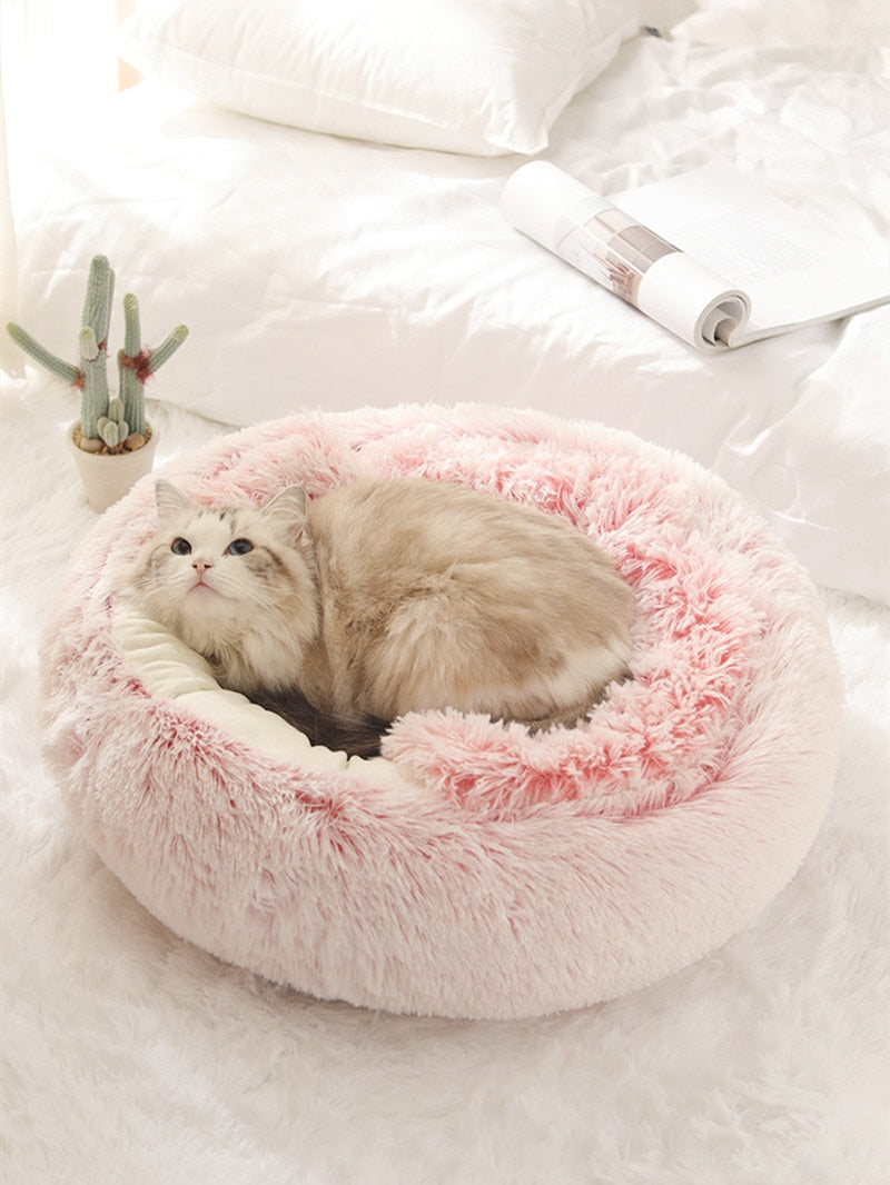 2-in-1 pet bed with raised rim for cats and small dogs